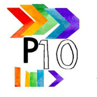 Project 10 logo - Similar company to Bgc Dawson