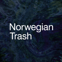 Norwegian Trash logo - Similar company to Plasteriet