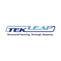 TekLeap logo - Similar company to Techsf