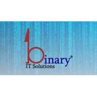 Binary IT Solutions logo - Similar company to Binary It Solutions