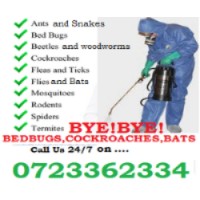 JOPESTKIL KENYA FUMIGATION & PEST CONTROL SERVICES COMPANY NAIROBI KENYA logo - Similar company to Pestoride Pest Control Company