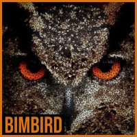 BIMBIRD logo - Similar company to Si-Drone