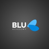 Blu Academy logo - Similar company to Bluhartmann
