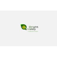 Bright Valley logo - Similar company to H Chemical