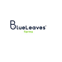 BlueLeaves Farms logo - Similar company to Green Door Studio