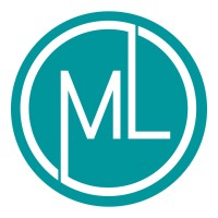 M L Consulting, LLC logo - Similar company to Web Hosting | Black Solutions