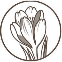 Dental Solutions logo - Similar company to Forma Dental Supplies