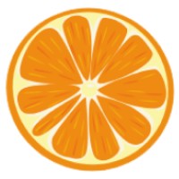 Orange Plan Management logo - Similar company to Wilnet Solutions
