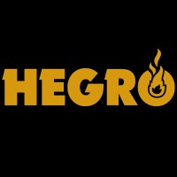 Hegro Holland B.V. logo - Similar company to Ducate Group