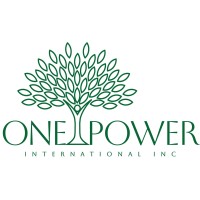 One Power International Medical & Foreign Trade, Inc logo - Similar company to Strategic Execution Partners