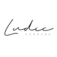 Ludic logo - Similar company to Pro Market Services