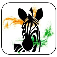 Carcinoid Neuroendocrine Tumor Society India logo - Similar company to Net Connect