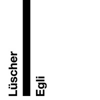 Lüscher Egli AG logo - Similar company to Ducksch Anliker