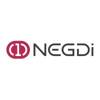 NEGDi logo - Similar company to Negdims