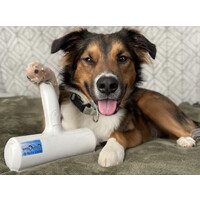 ChomChom Roller logo - Similar company to Chomchom
