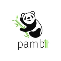 Pambii logo - Similar company to Zeitmaps