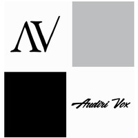 Audiri Vox logo - Similar company to Innoips