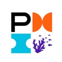 PMI Capítulo República Dominicana (PMIRD) logo - Similar company to Negotiations For Project Managers