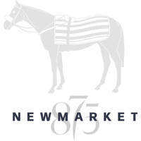 Newmarket 875 Ltd logo - Similar company to Super B Plus Group Ltd