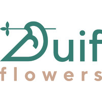 Duif flowers logo - Similar company to Decoranddecor
