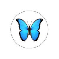 Blue Morpho Skin Shop logo - Similar company to Selka