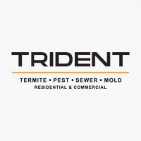Trident Inspection Group logo - Similar company to Visum Technologies Plc (Aqse: Vis)
