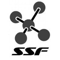 SRE SABTHAGIRI FIRMS logo - Similar company to Niche Computer Consultants Pvt Ltd