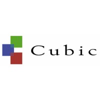Cubic Transport Services Limited logo - Similar company to Wishbone 3Pl Warehousing Services