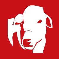 Masterboi logo - Similar company to Tudo Zero Leite