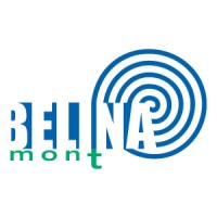 BELINAmont logo - Similar company to Belina