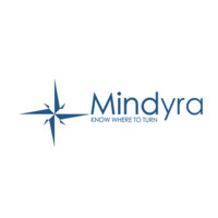 Mindyra logo - Similar company to Blink Software