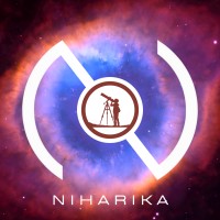 Niharika logo - Similar company to Kara Tutoring