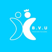 BVU ACADEMY logo - Similar company to Ct University Aws Academy
