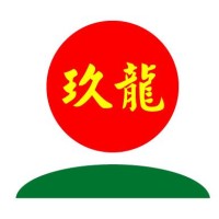 玖龙纸业 logo - Similar company to 阳光资产管理股份有限公司
