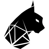 Lynx Fitness Gyms logo - Similar company to Limerence.Spa