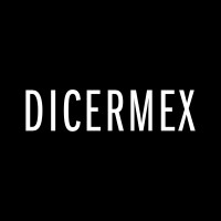 DICERMEX S.A. logo - Similar company to Ci Schuler