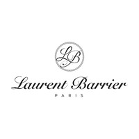 Laurent Barrier logo - Similar company to Institut Fandi