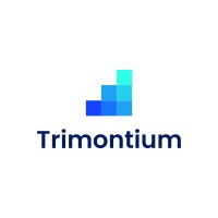 Trimontium.io logo - Similar company to Triple Jump Technologies Ltd