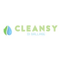 Cleansy logo - Similar company to Vtion Lab