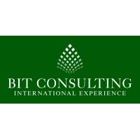 Business Intelligence Transfer Consulting logo - Similar company to Somia Solutions