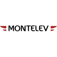 MONTELEV logo - Similar company to Maxilev