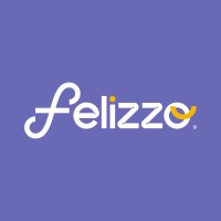 Felizzo logo - Similar company to Pgear Consulting