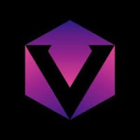 Vidmo Group