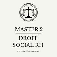 Master 2 Droit social et RH logo - Similar company to Mdsn Pss