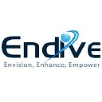 Endive Software Private Limited logo - Similar company to Nlineaxis It Solutions Pvt Ltd