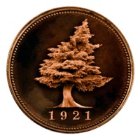 Big Cedar Lodge logo - Similar company to Silver Dollar City Parks & Resorts