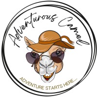Adventurous Camel logo - Similar company to Promocodes