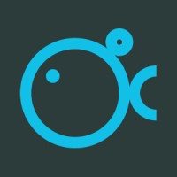 Bluefish - Diseño web y branding logo - Similar company to Amcou Web Design