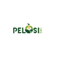 Pelosi S&C logo - Similar company to Mody