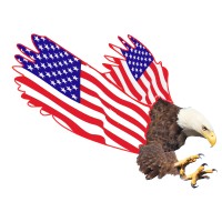 USA Roof & Restorations logo - Similar company to Sky Services Usa